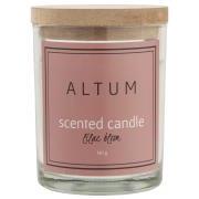 Altum duftlys, Lilac Bloom