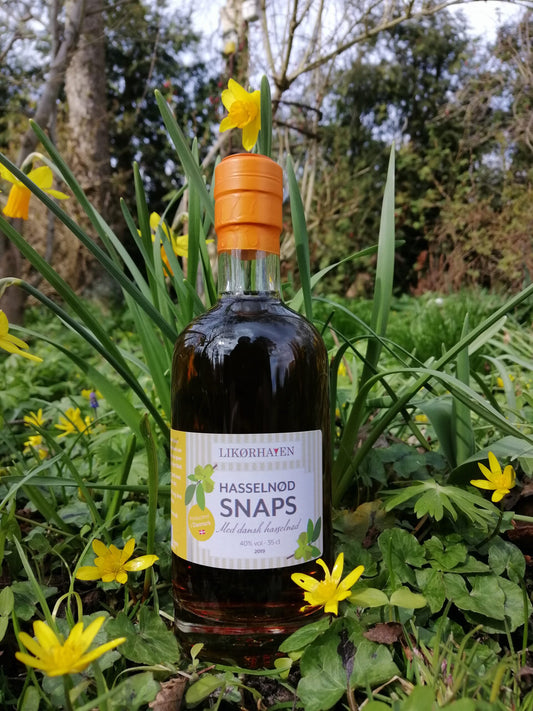 Hasselnød snaps - Likørhaven