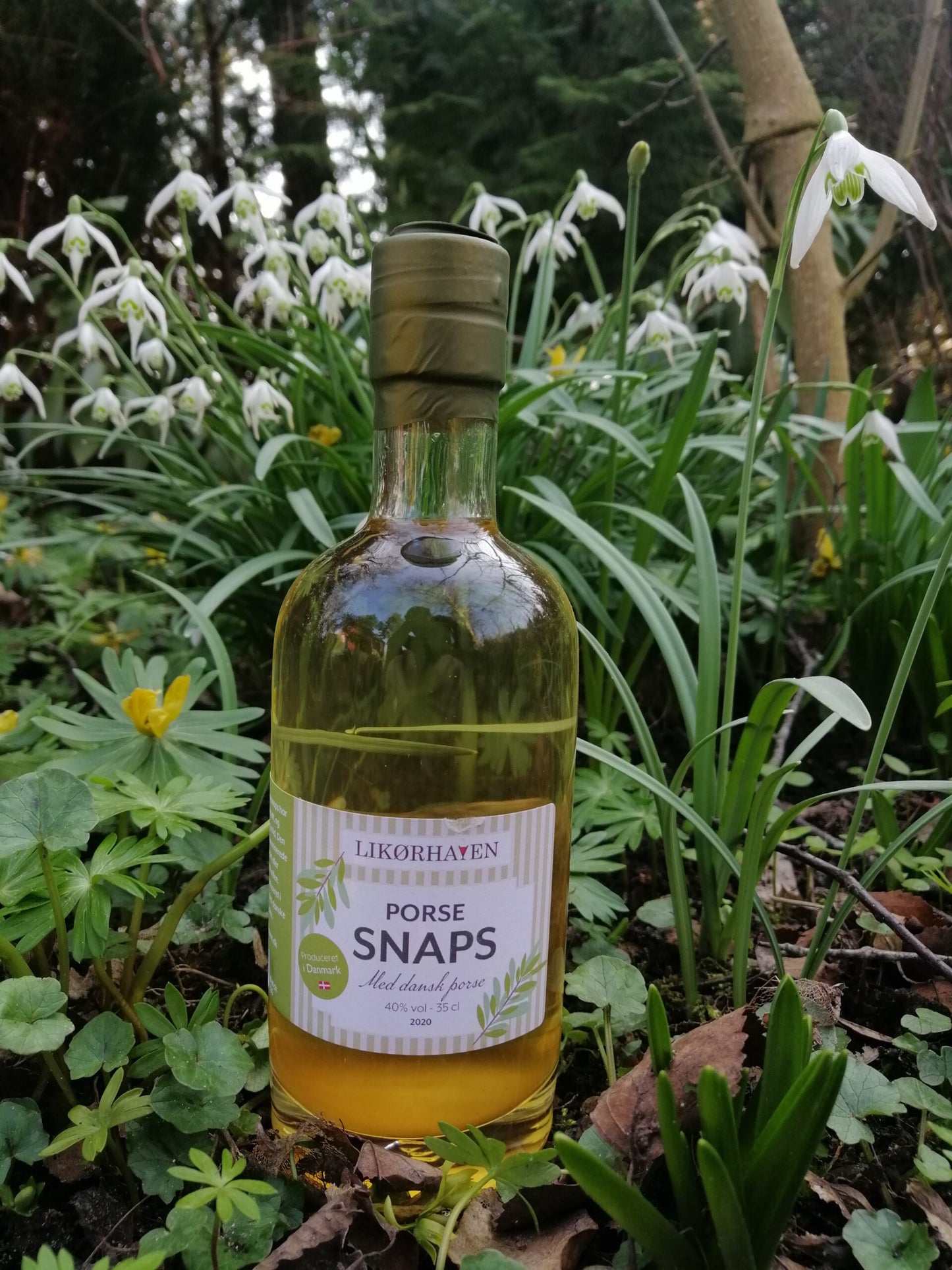 Porse snaps - Likørhaven