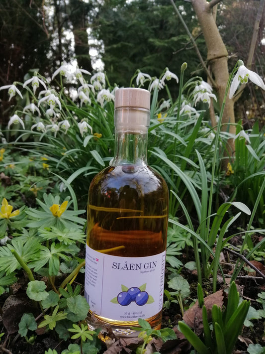 Slåen gin - Likørhaven