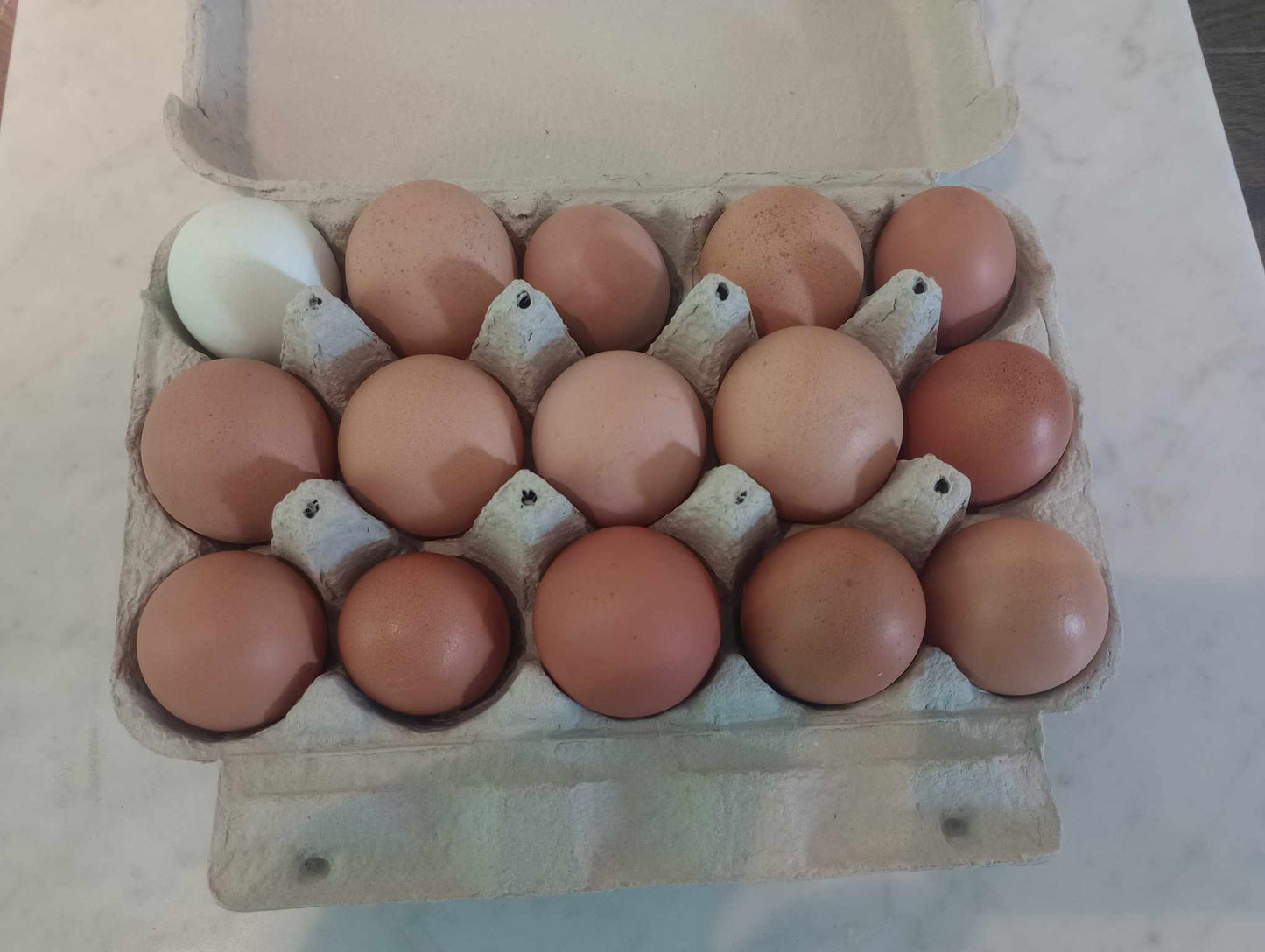 15 stk æg